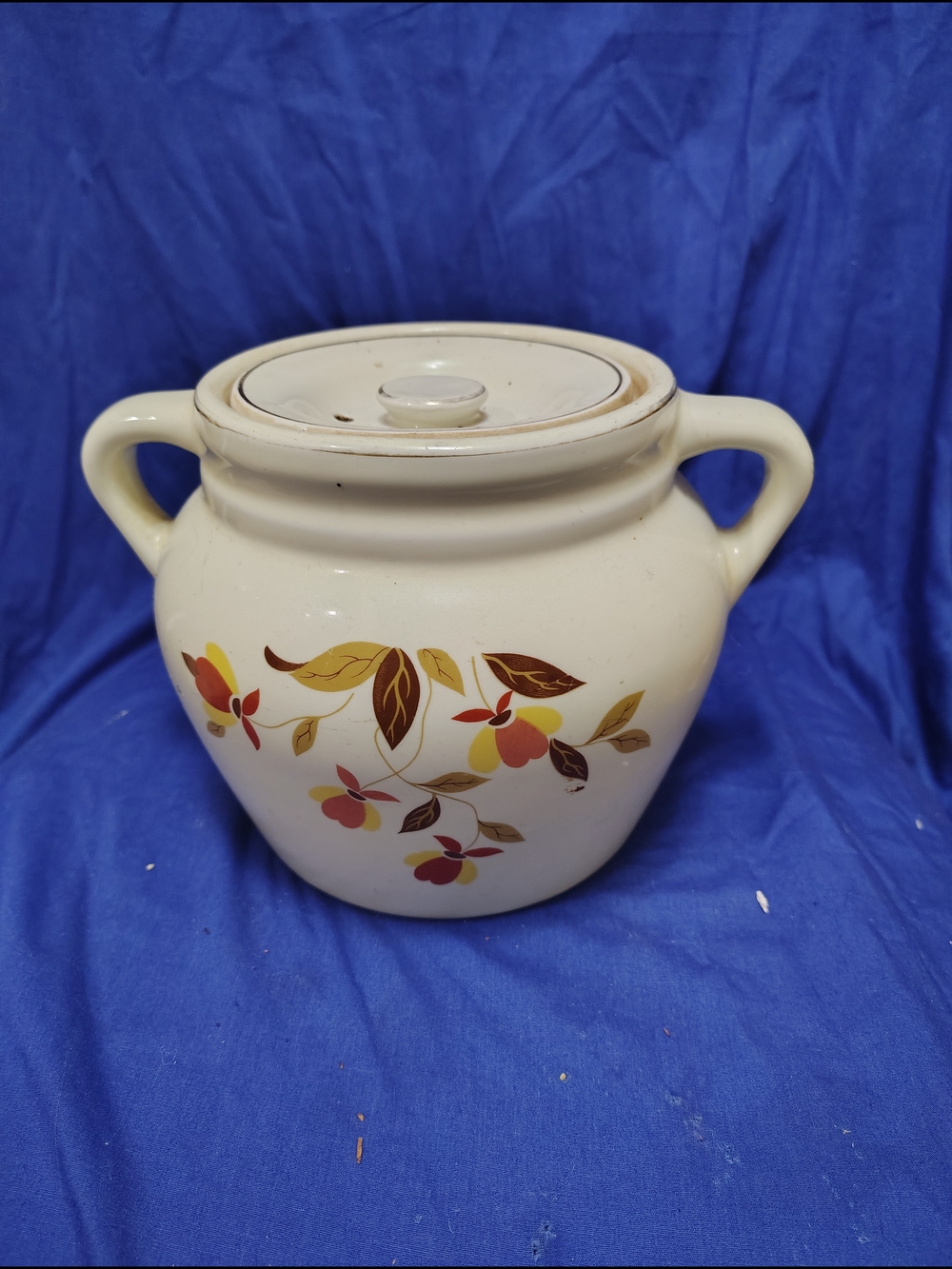 Cream Ceramic Lidded Canister with Autumn Floral Pattern